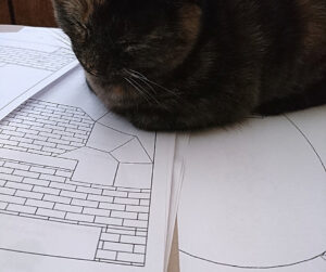 tortoisehell cat sleeping on garden plans