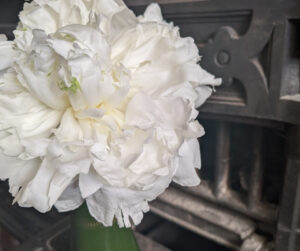 white peony, wedding bouquet, victorian range
