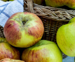 apples, wicker basket