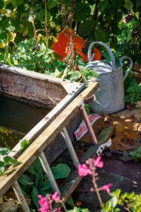 ladder, watering can, water trough, marie's garden, ©️Julie Skelton