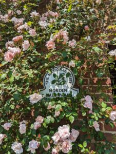 morden hall park sign, climbing rose
