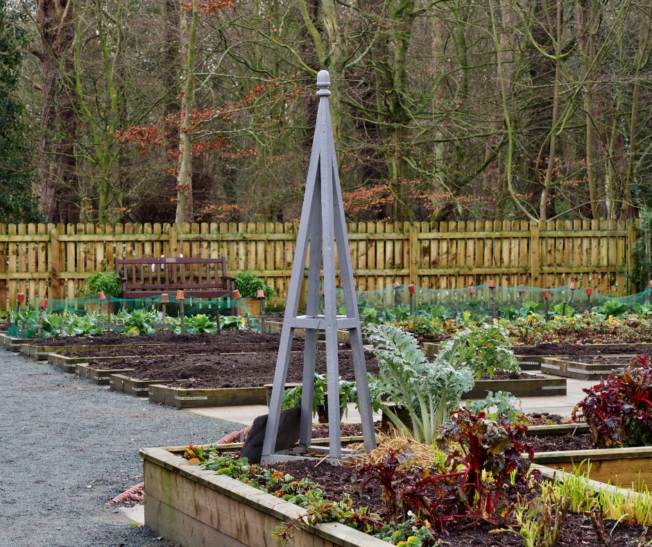 kitchen garden, raised beds, obelisk, vegetable garden, edible gardening