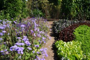 vegetable garden, kitchen garden, garden rooms, garden visit, woolbeding, west sussex