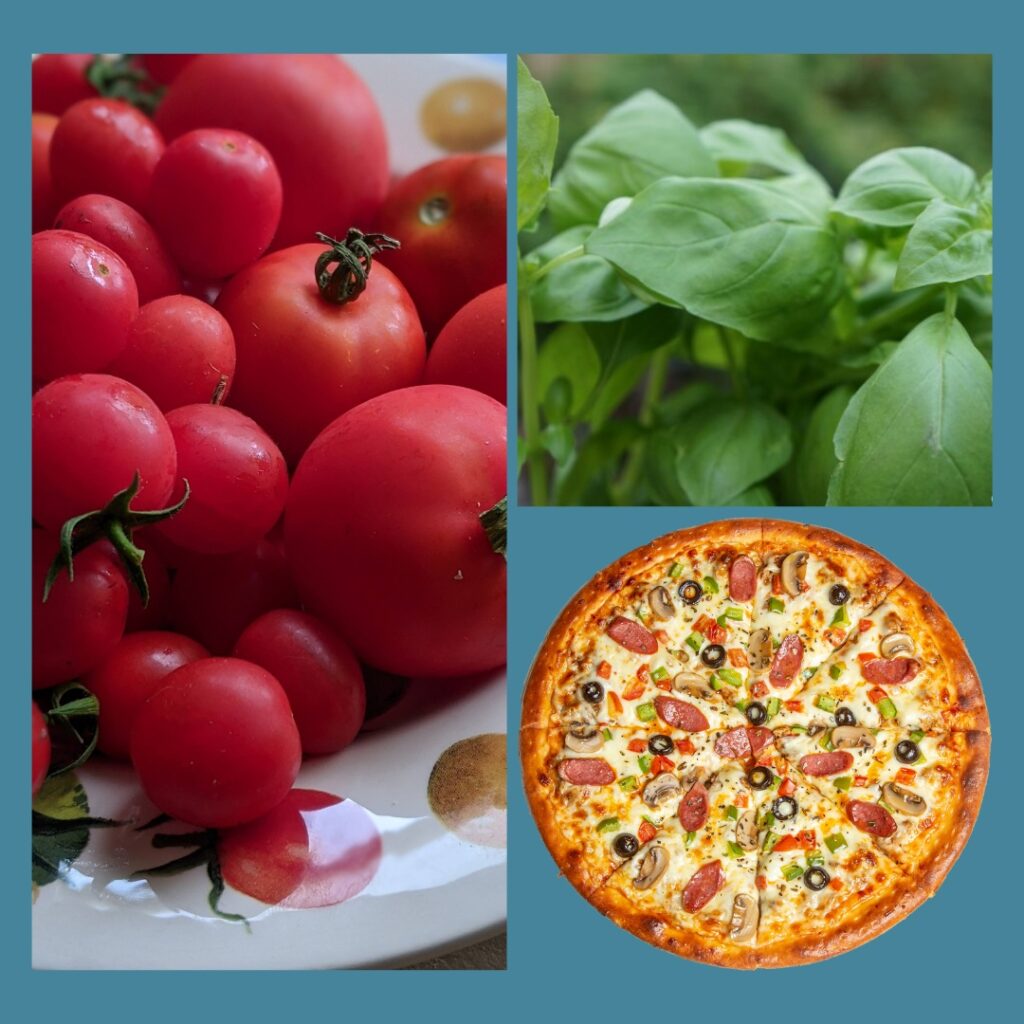 Grow Your Own Pizza Garden - Pizza shaped Planting Plan