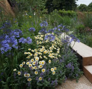 Adventure within Garden, RHS Feature Gardens Hampton COurt 2024