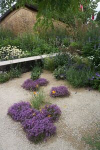 Adventure within Garden, RHS Feature Gardens Hampton COurt 2024