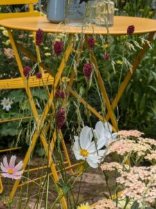All About Asteraceae, 2024, RHS Hampton Court show, yellow bistro table and chairs