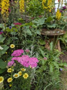 All About Asteraceae, 2024, RHS Hampton Court show, water feature