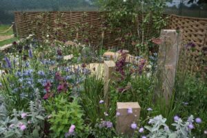 Making Sense Garden, Get Started Gardens 2024, RHS Hampton Court