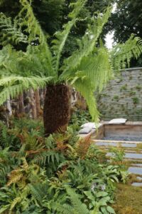Get Started Gardens 2024, RHS Hampton Court