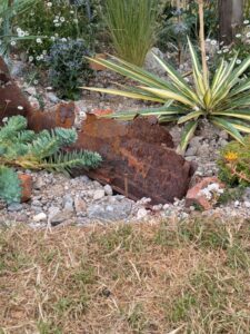 Resilient Pocket Planting, 2024, RHS Hampton Court show