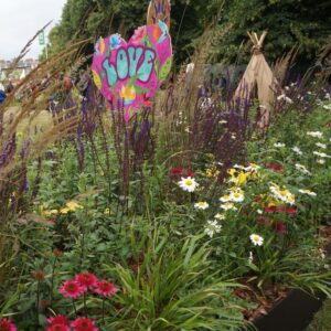 All About Asteraceae, RHS Hampton Court show 2024