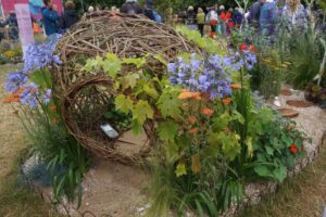 Resilient Pocket Planting, RHS Hampton Court show 2024