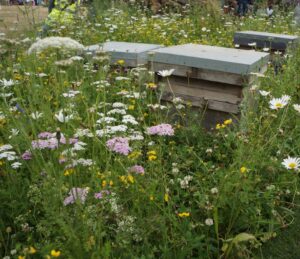 bee hives , RHS Hampton court 2024