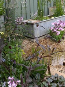water feature peat free garden, Show Gardens 2024 RHS Hampton Court
