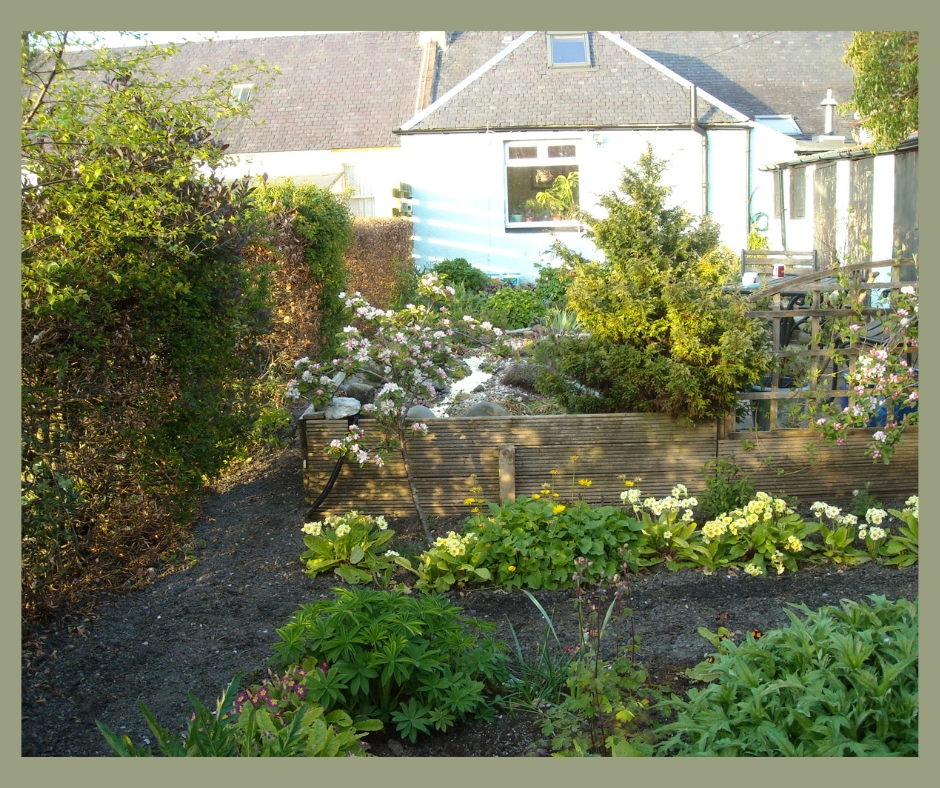 How is a Garden Consultant different to a Garden Designer Blog header, plews potting shed, marie shallcross, gardening writer, gardening teacher, garden designer & consultant, gardening workshops, gardening talks