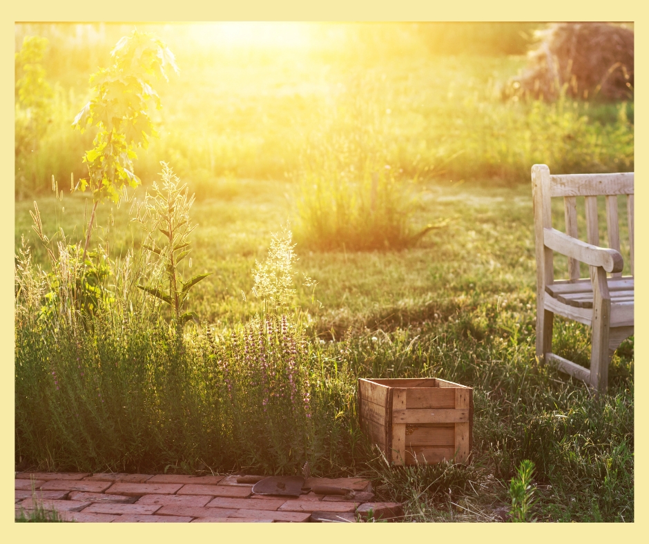 Quick Tips for Keeping Cool in Your Garden blog header, plews potting shed, marie shallcross, gardening writer, gardening teacher, garden designer & consultant, gardening workshops, gardening talks